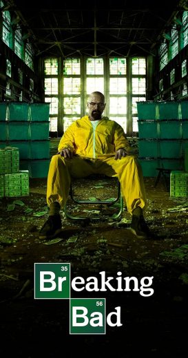 breaking bad season 4 episode 8 bg sub